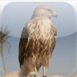  SlidePuzzle - Falcon (2009). Нажмите, чтобы увеличить.