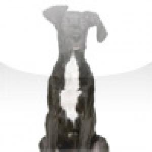  SlidePuzzle - Great Dane (2009). Нажмите, чтобы увеличить.