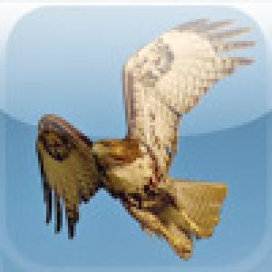  SlidePuzzle - Hawk (2009). Нажмите, чтобы увеличить.