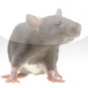  SlidePuzzle - Mouse (2009). Нажмите, чтобы увеличить.