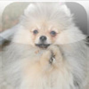  SlidePuzzle - Spitz (2009). Нажмите, чтобы увеличить.