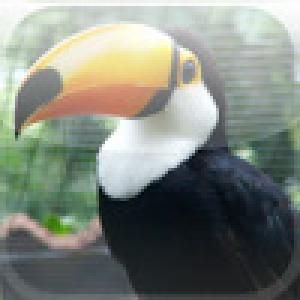  SlidePuzzle - Toucan (2009). Нажмите, чтобы увеличить.