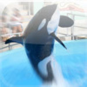  SlidePuzzle - Whale (2009). Нажмите, чтобы увеличить.