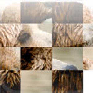  SlideTiles (2009). Нажмите, чтобы увеличить.