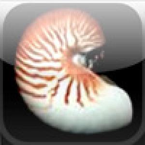  seashells (2009). Нажмите, чтобы увеличить.