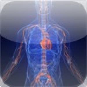  The Human Body Slide Puzzle (2010). Нажмите, чтобы увеличить.