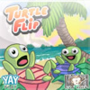  TurtleFlip (2008). Нажмите, чтобы увеличить.