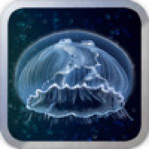  Underwater The Game (2009). Нажмите, чтобы увеличить.