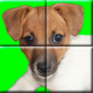  ZipPuzzle (2009). Нажмите, чтобы увеличить.