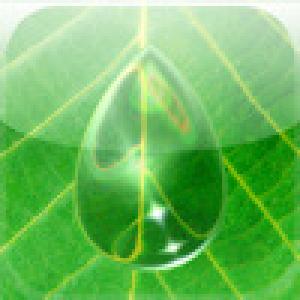  Aqua Forest (2008). Нажмите, чтобы увеличить.