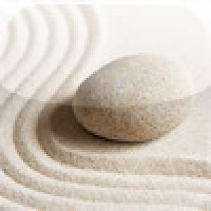  Crazy Sage (2008). Нажмите, чтобы увеличить.