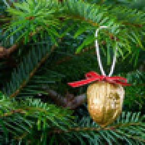  Holiday Jolt (2008). Нажмите, чтобы увеличить.