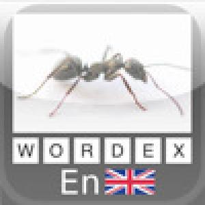  Wordex - English (2009). Нажмите, чтобы увеличить.