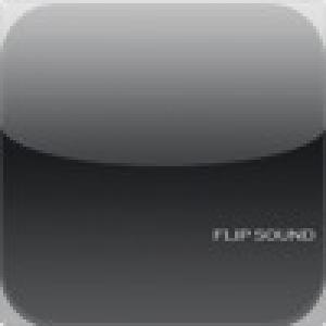  FlipSound (2010). Нажмите, чтобы увеличить.
