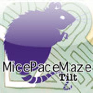  MicePaceMaze Tilt (2009). Нажмите, чтобы увеличить.