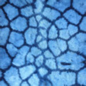  ShamanMachine (2009). Нажмите, чтобы увеличить.