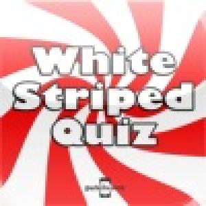  White Striped Quiz (2010). Нажмите, чтобы увеличить.