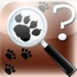  Animal Tracks Quiz (2009). Нажмите, чтобы увеличить.