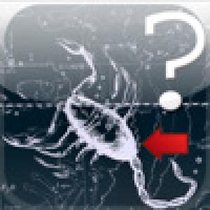  Constellation Quiz (2009). Нажмите, чтобы увеличить.