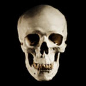  Danger Seeker (2009). Нажмите, чтобы увеличить.