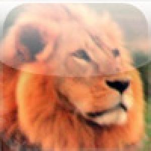  Lions (2009). Нажмите, чтобы увеличить.