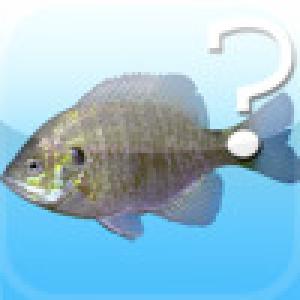  Name This Fish (2009). Нажмите, чтобы увеличить.