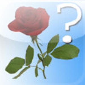  Name This Flower (2009). Нажмите, чтобы увеличить.