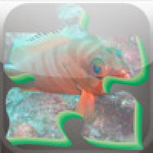  Puzzle Arabian Sea (2009). Нажмите, чтобы увеличить.