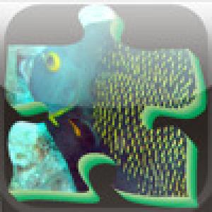  Puzzle Caribbean Sea (2009). Нажмите, чтобы увеличить.