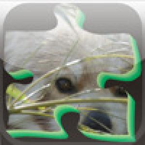  Puzzle Nature (2009). Нажмите, чтобы увеличить.