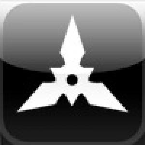  Ninjas (2009). Нажмите, чтобы увеличить.