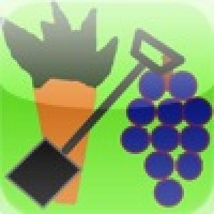  Vege Garden (2010). Нажмите, чтобы увеличить.