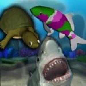  Aquatica (2009). Нажмите, чтобы увеличить.