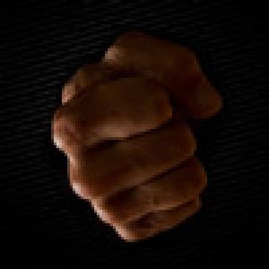  Combat Fighter (2010). Нажмите, чтобы увеличить.