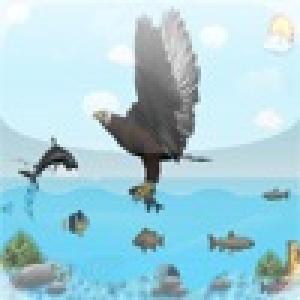  Eagle Quest (2010). Нажмите, чтобы увеличить.