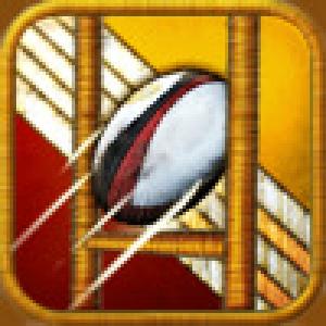  Flick Kick Rugby (2009). Нажмите, чтобы увеличить.