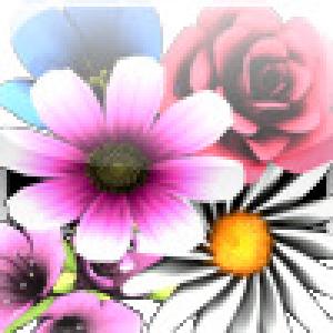  Flowerpatch (2009). Нажмите, чтобы увеличить.