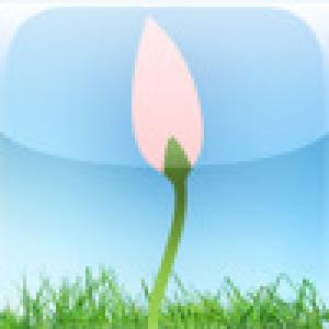  iBloom (2009). Нажмите, чтобы увеличить.