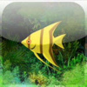  Photo Aquarium (2009). Нажмите, чтобы увеличить.