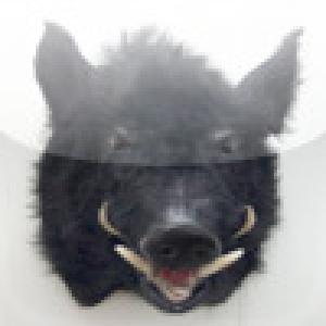  Pig Sticker, wild boar hunting (2009). Нажмите, чтобы увеличить.