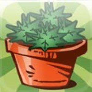  SOW (2009). Нажмите, чтобы увеличить.