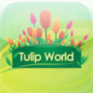  Tulip World (2009). Нажмите, чтобы увеличить.