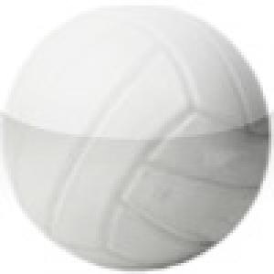  Volleyball (2009). Нажмите, чтобы увеличить.