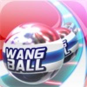  Wangball (2010). Нажмите, чтобы увеличить.