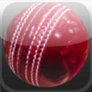  Cricket Game (2009). Нажмите, чтобы увеличить.