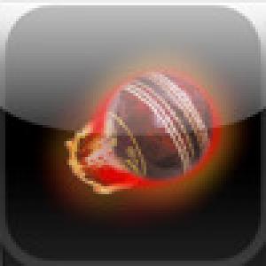  Flip Cricket (2009). Нажмите, чтобы увеличить.