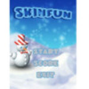  SkiNFun (2009). Нажмите, чтобы увеличить.