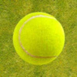  Bat Ball (2010). Нажмите, чтобы увеличить.