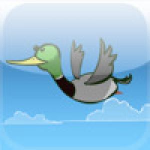  Duck N Cover (2009). Нажмите, чтобы увеличить.