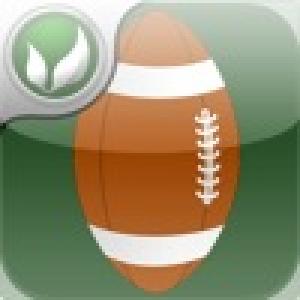  Football Kickoff (2010). Нажмите, чтобы увеличить.